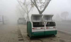 191 300x180 China: Homeless children found dead in rubbish bin 