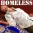 Swift- homelesslogo.jpg