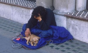 179 300x180 Homeless man with dog in London